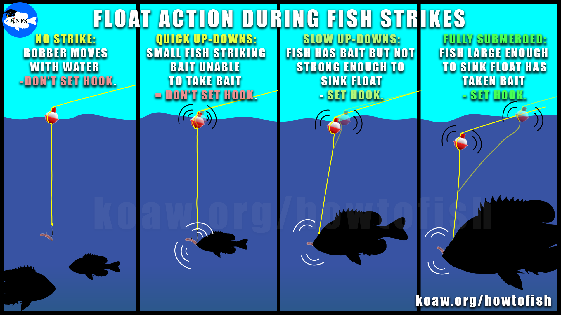 Shows what a fish hitting the bait looks like with a float rig. A bobber rig getting fish strikes.