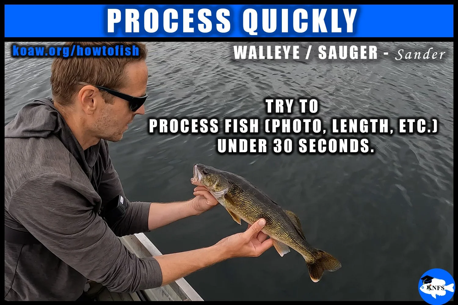 Koaw holding a Walleye (Sander vitreus) as demonstration on how to hold a Walleye.