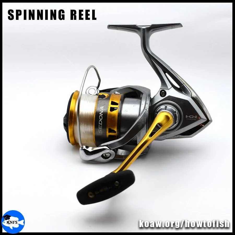 A basic spinning reel.