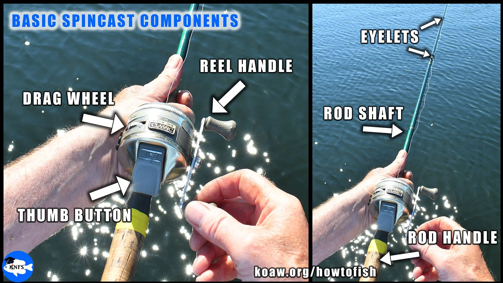 The most basic components of a spincast, or button push, rod and reel.