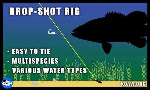 DROP-SHOT (DROPSHOT) FISHING RIG: How to Tie, Optimization, and More! —  Koaw Nature