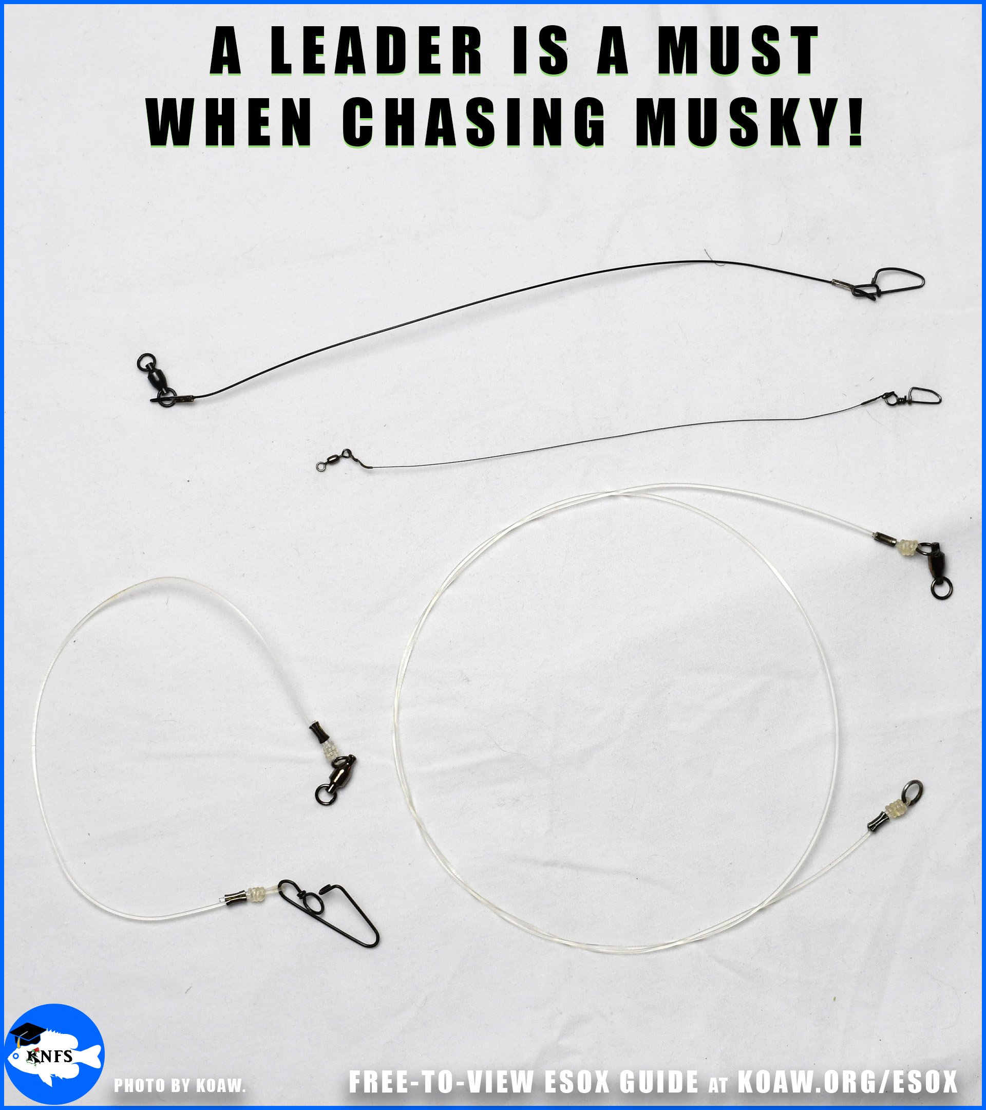 Musky Fishing Guide: Getting Started — Koaw Nature