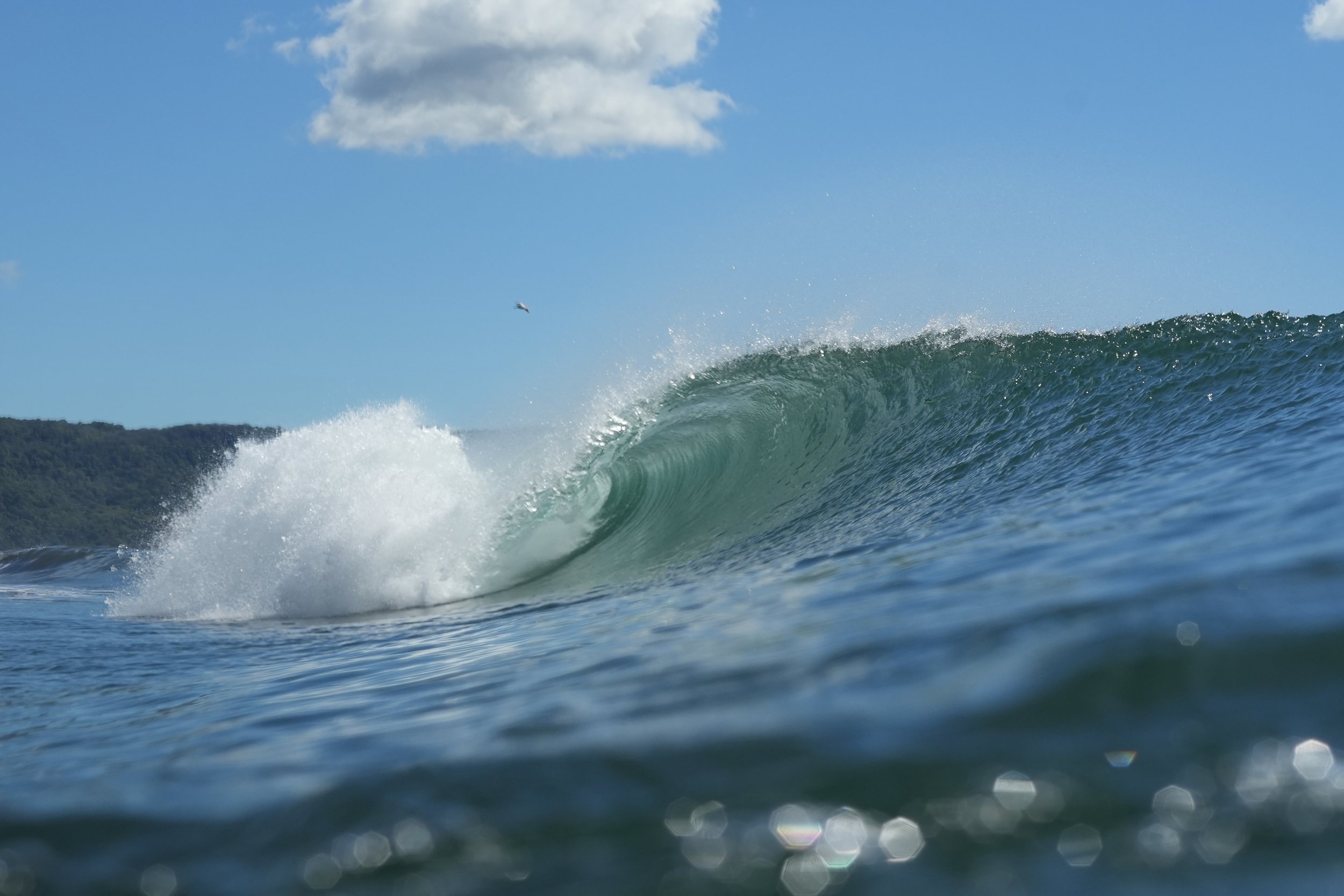 wave.jpeg