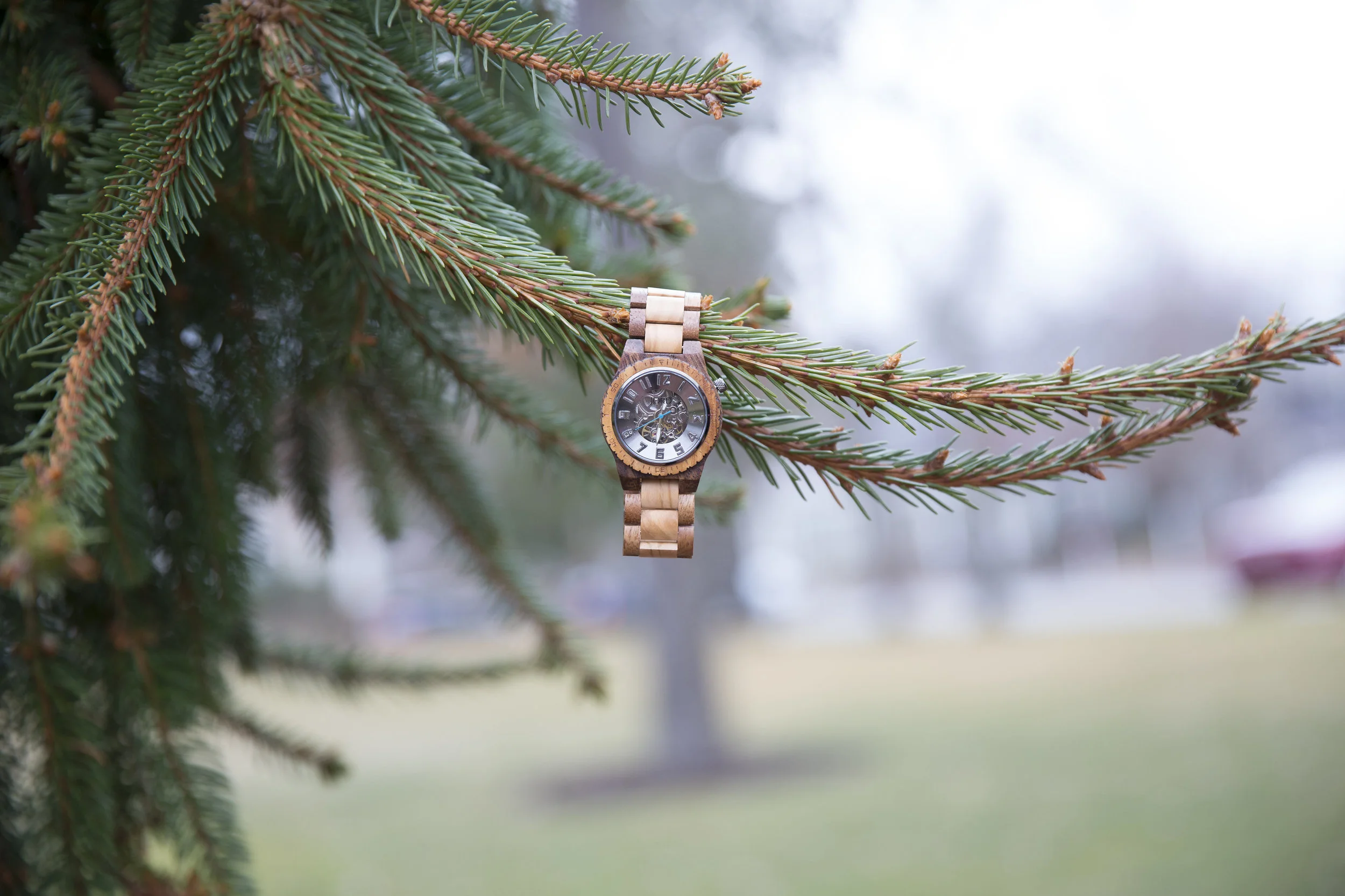 What he Wants for Valentine's Day: Jord