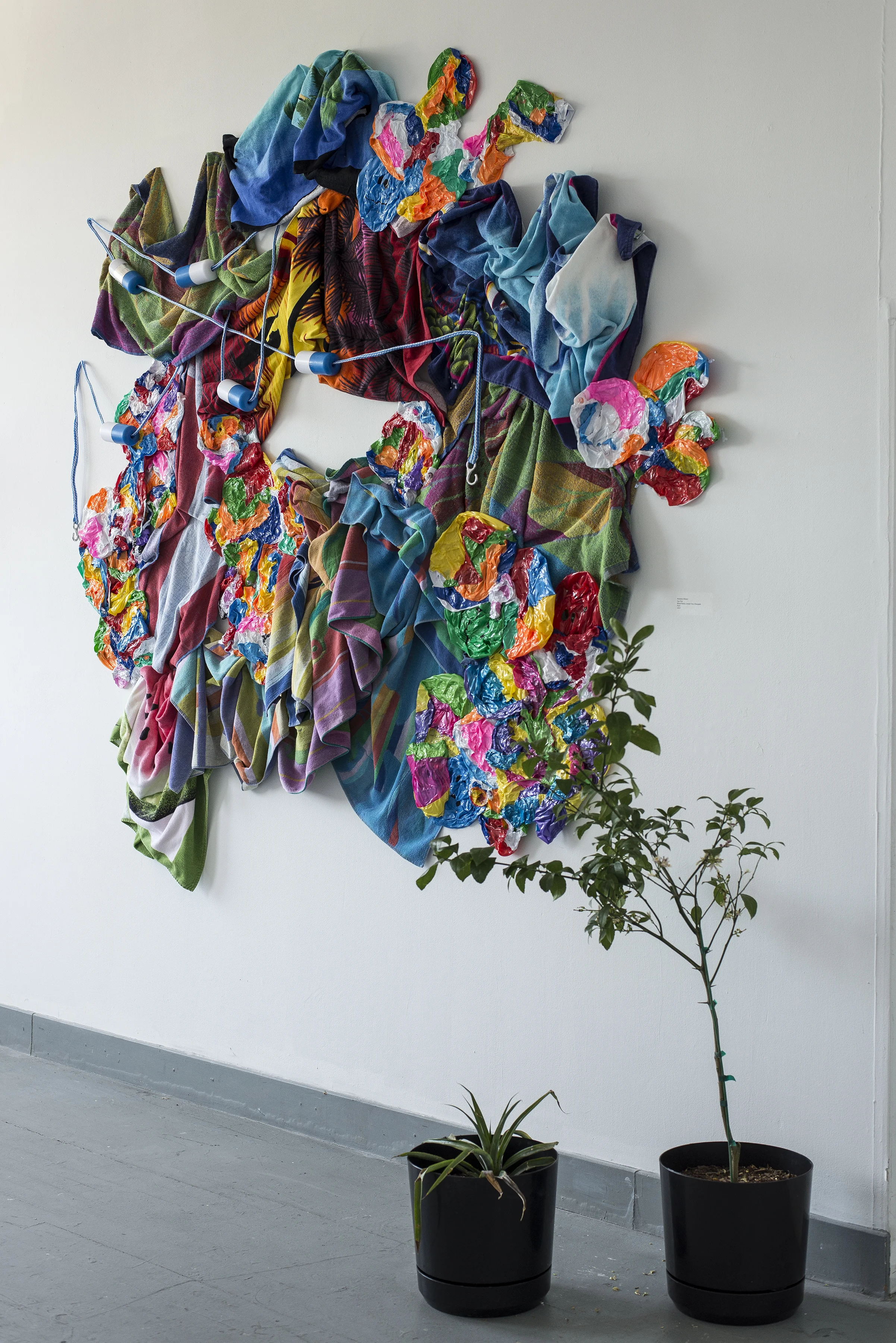 Day Trip Mixed Media Installation, Pineapple Plant, Meyer Lemon Tree 14'x12' 2015