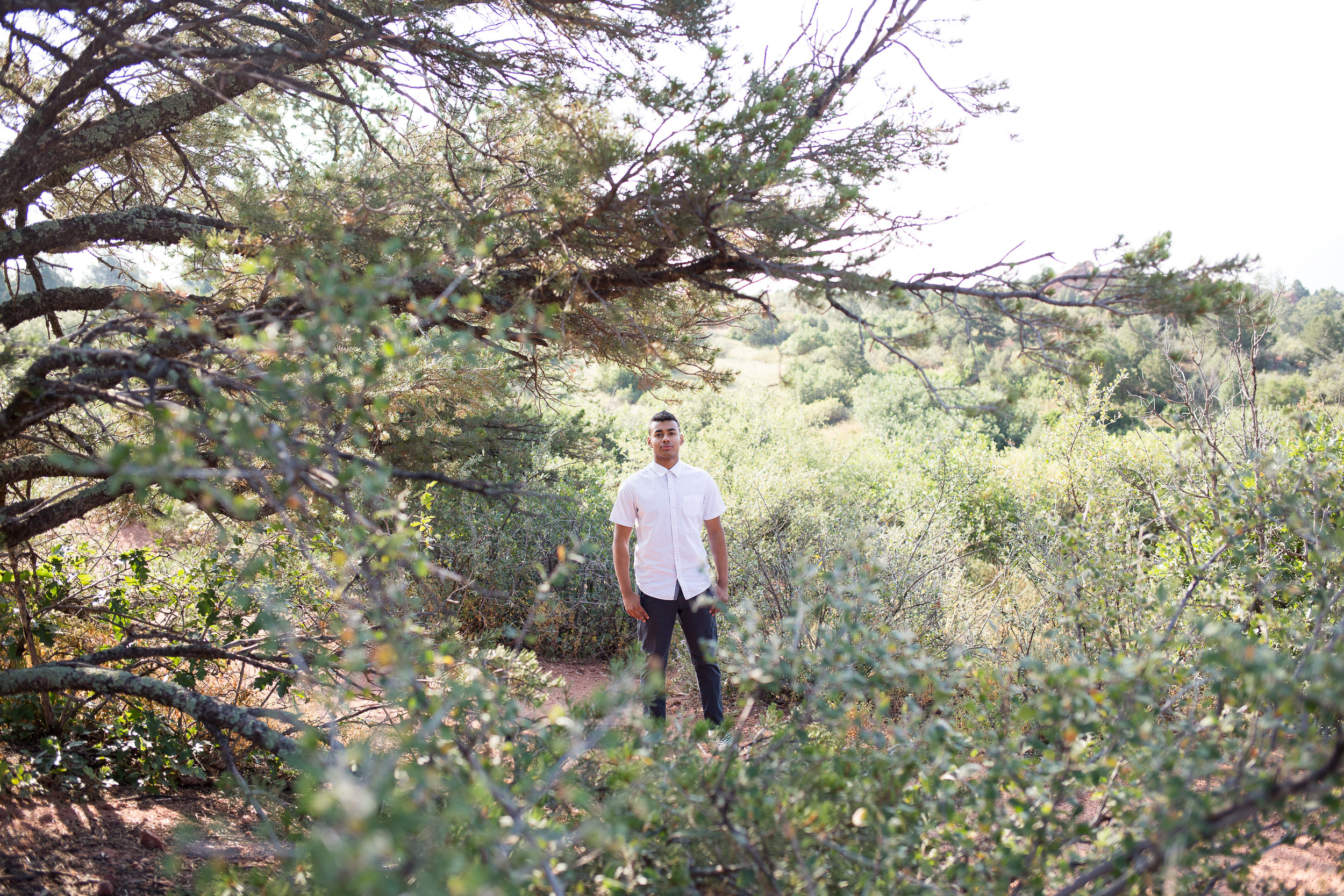 Liberty High School Senior boy standing among the trees in Garden of the Gods looking at the camera, Stacy Carosa Photography