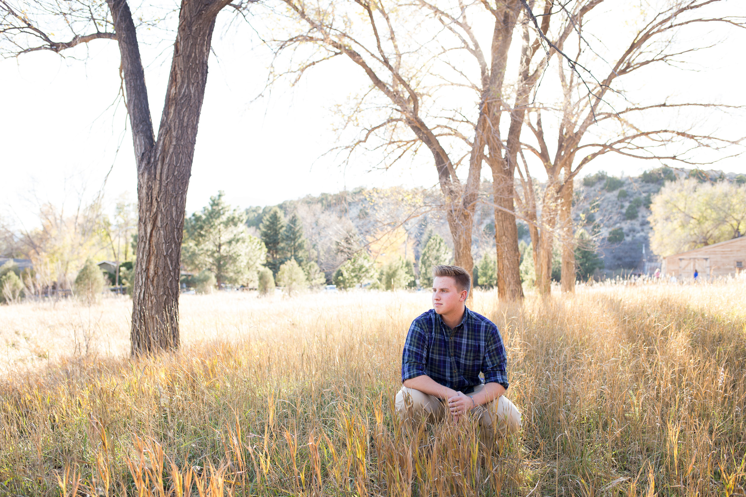 Senior boy sitting among the tall grasses against a tree in Rock Ledge Ranch in Colorado Springs Stacy Carosa Photography