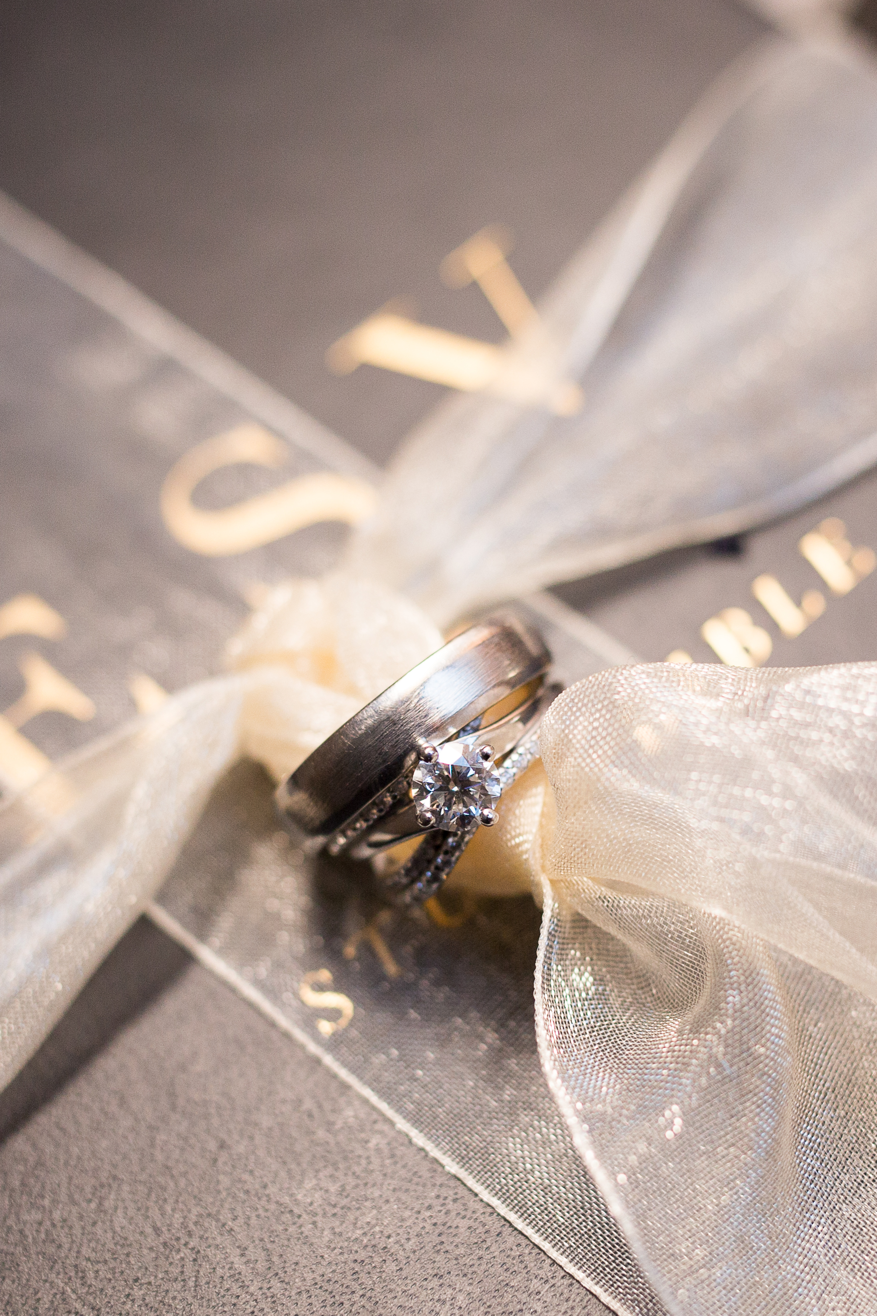 Bride and groom wedding rings tied to a Bible Stacy Carosa Photography Winter Wedding in Colorado Springs