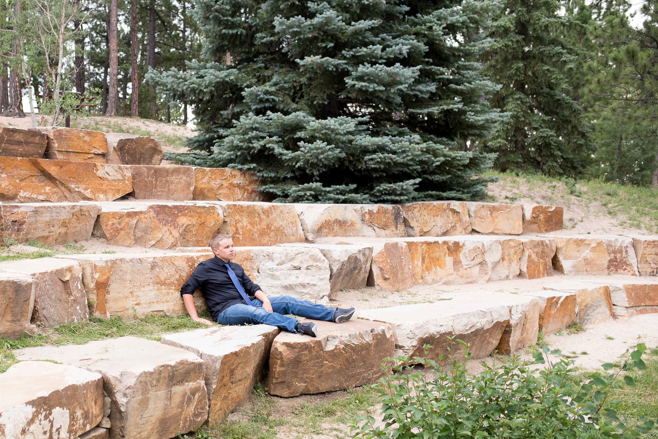 Colorado Springs Senior Photography | Stacy Carosa Photography | Colorado Springs senior photographer | senior session at Fox Run Park | Widefield high school senior among pine trees