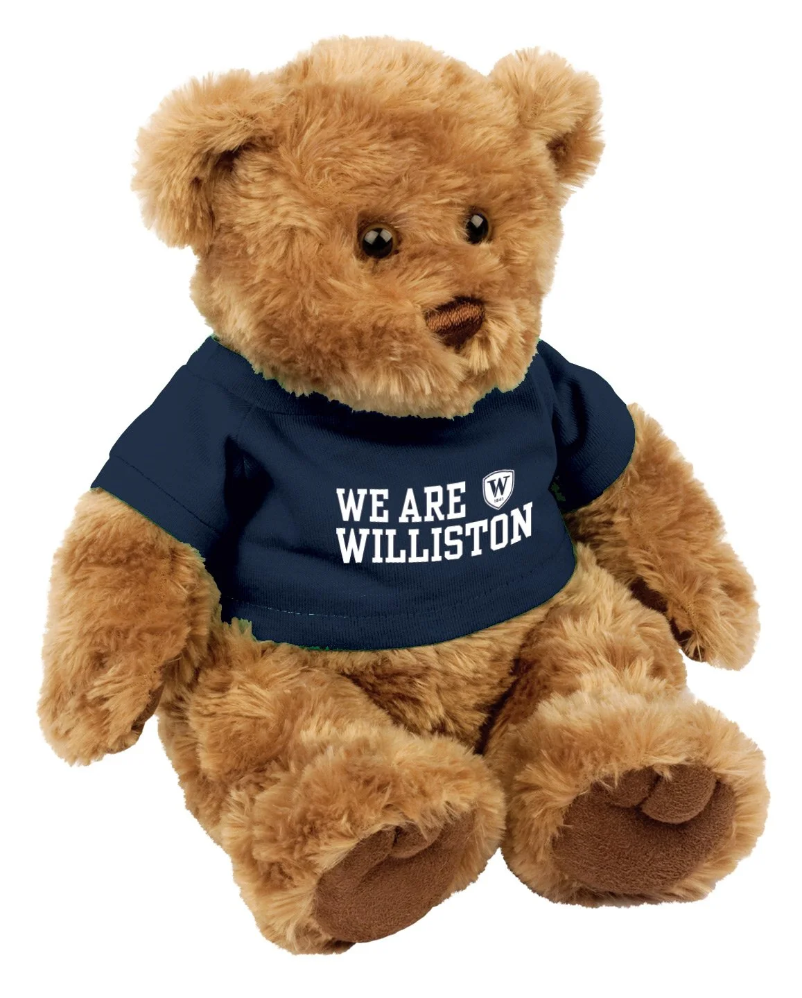 Tan Chelsea Bear 10inch