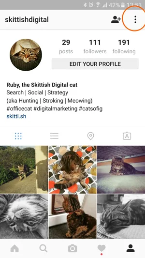 Changing instagram profile to business profile
