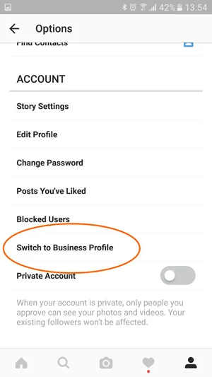Changing instagram profile to business profile