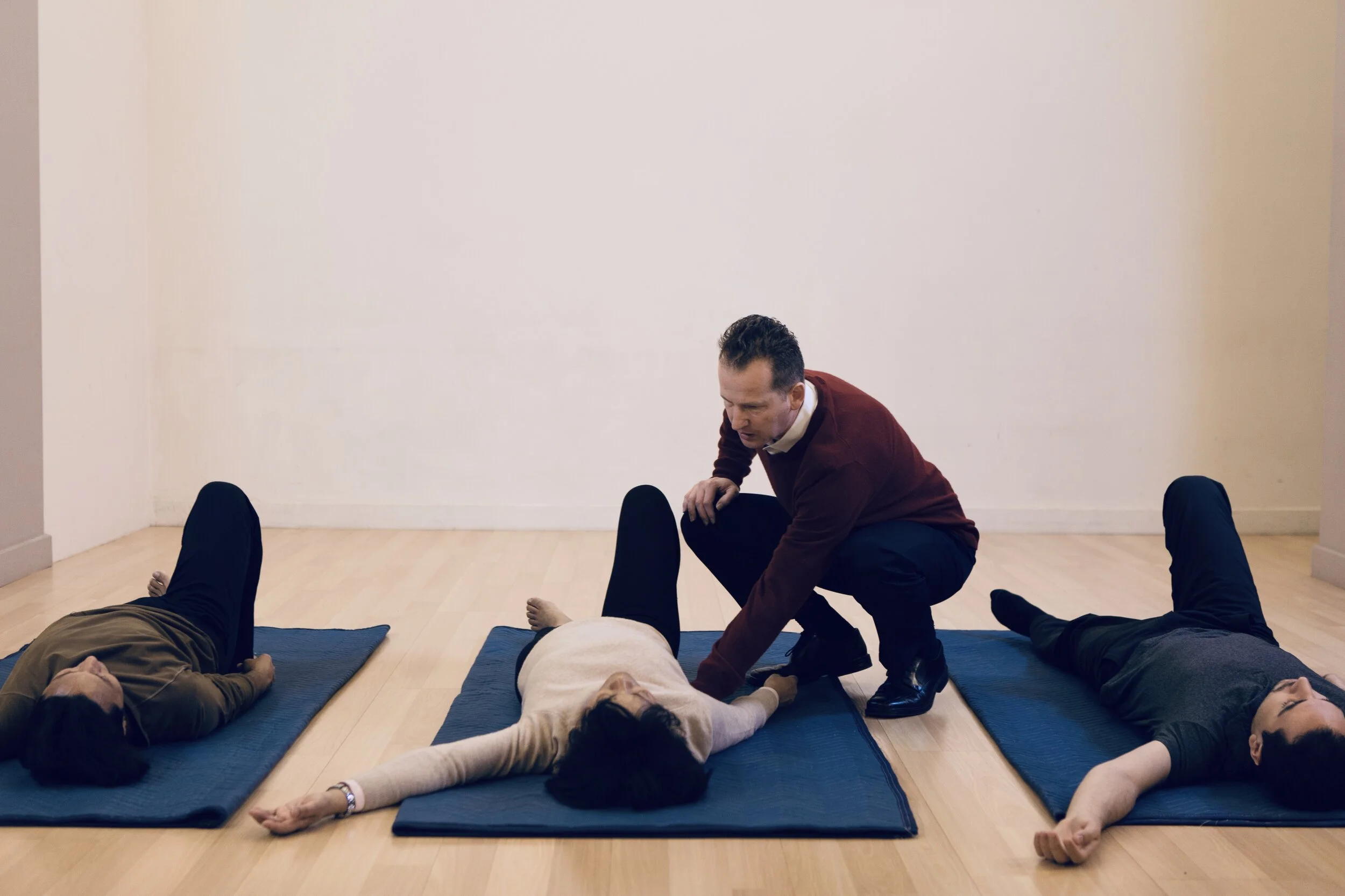 feldenkraisphoto2017.jpeg