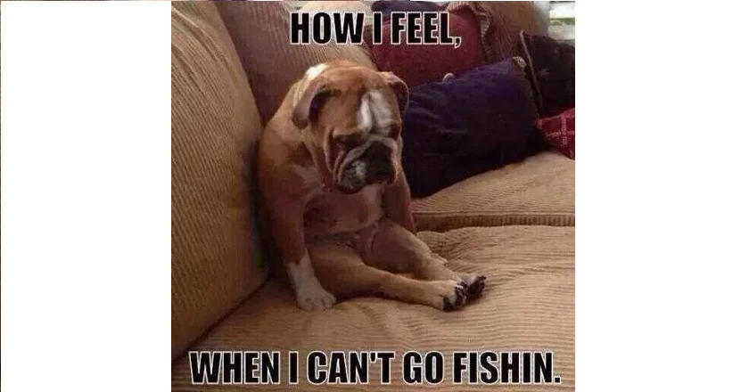 cant-go-fishing (1).jpg