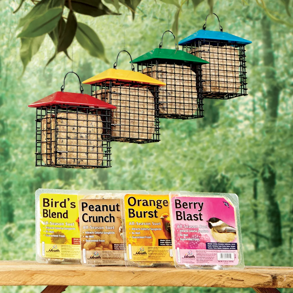 October 2018 - Birdseed 1.jpg