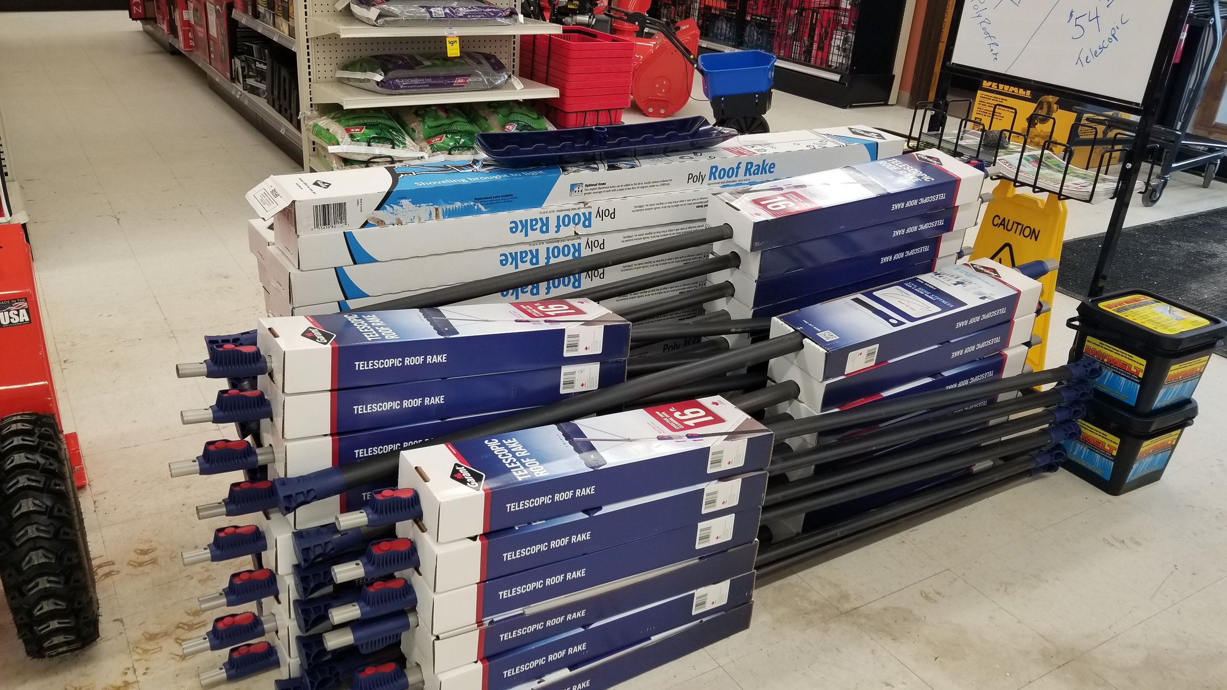 20190301_143245.jpg