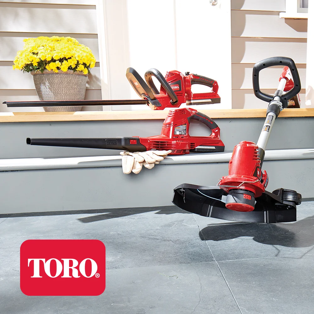 April 2019 - Toro.jpg