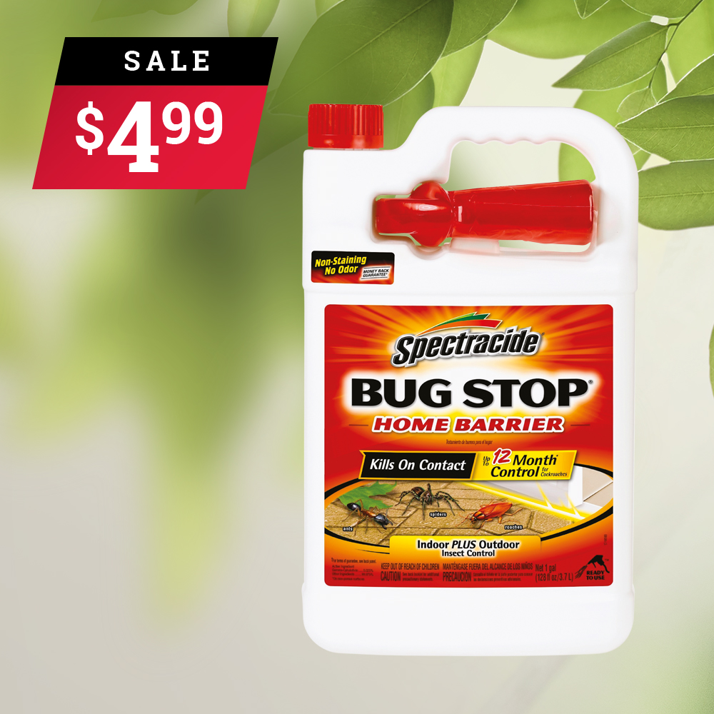 August 2019 - Bug Stop.jpg
