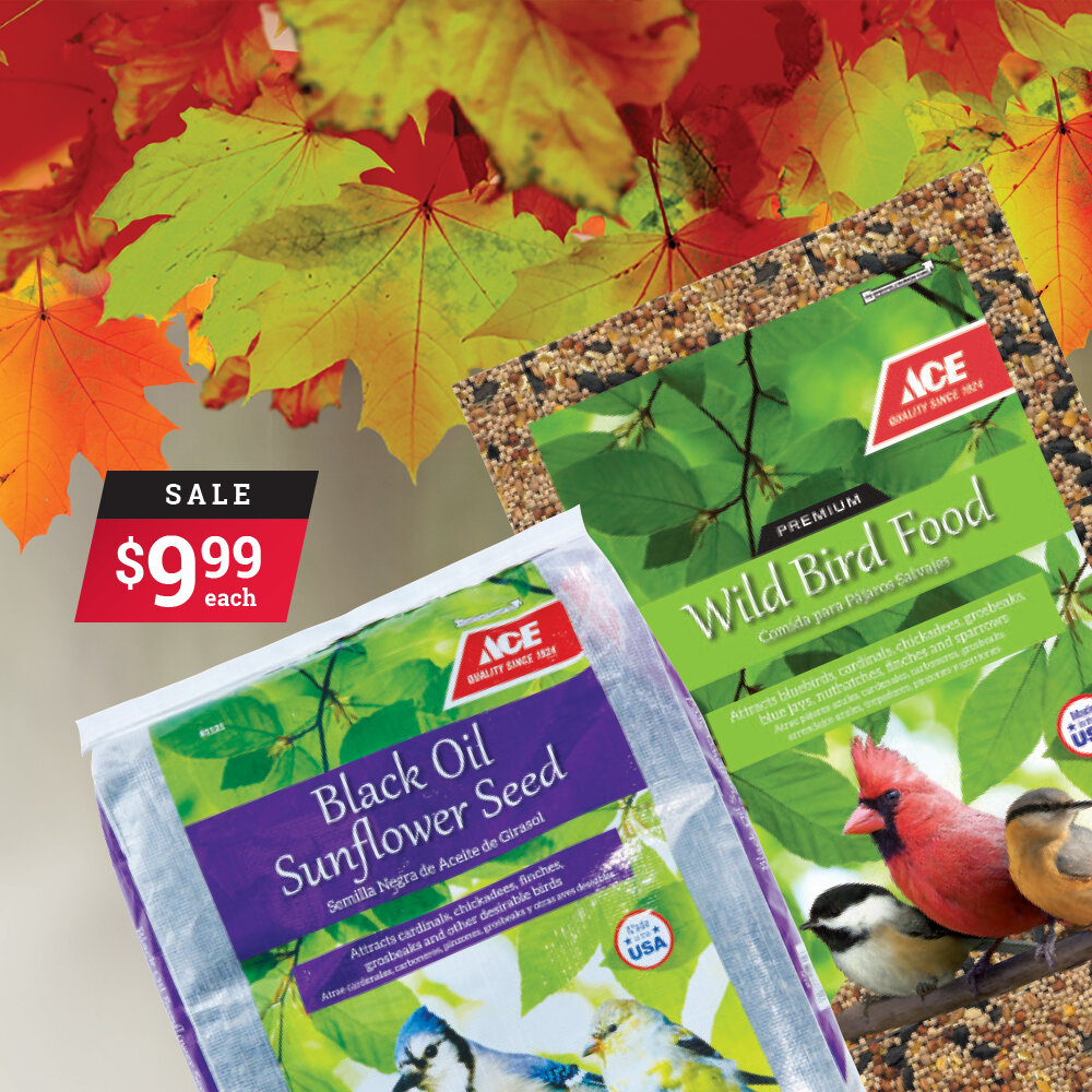 October 2019 - Birdseed.jpg