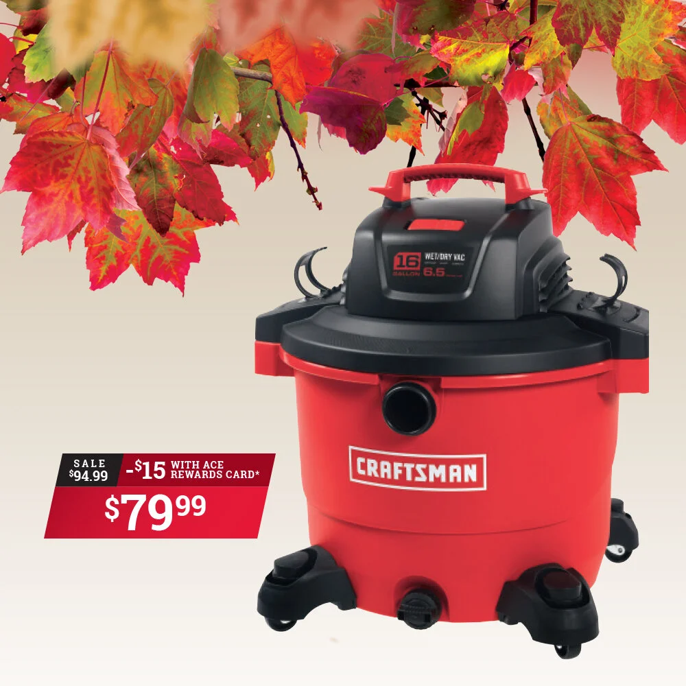 October 2019 - Craftsman Shopvac.jpg