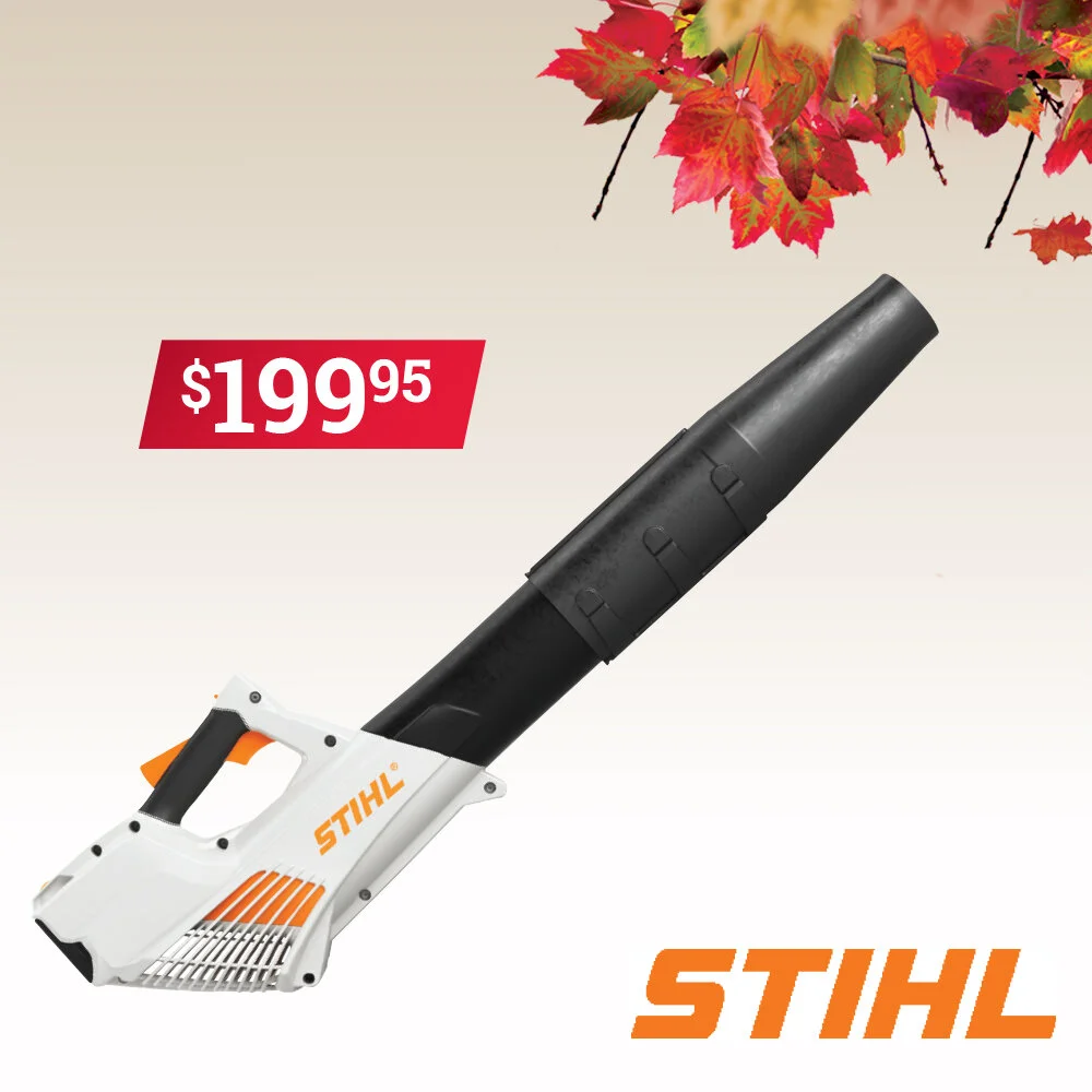 October 2019 - Stihl Blower.jpg