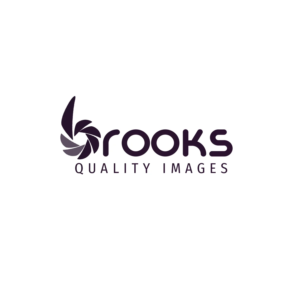 Brooks Quality Images Logo_white.jpg