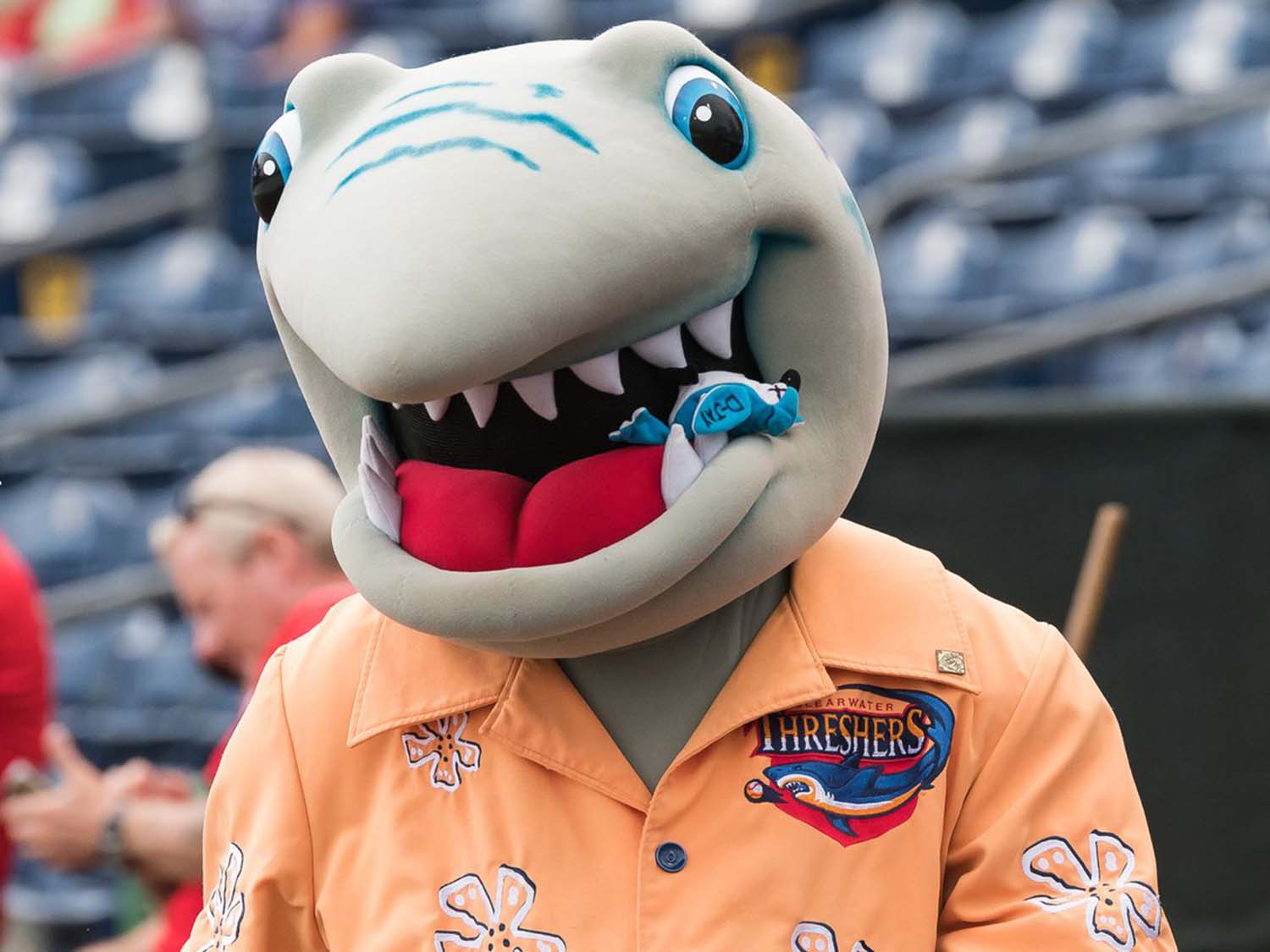 fun shark mascot costume