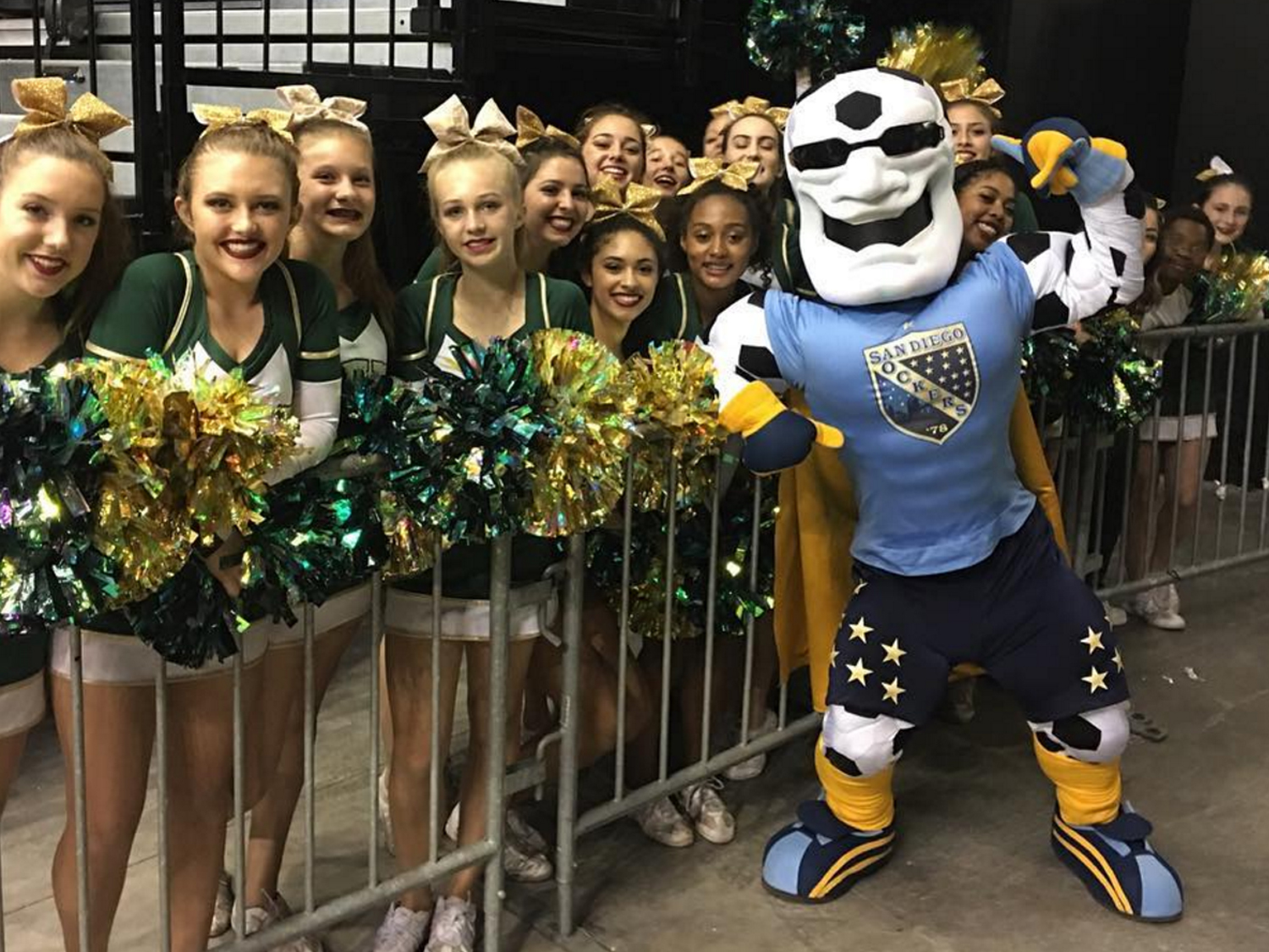 hockey mascot with fans