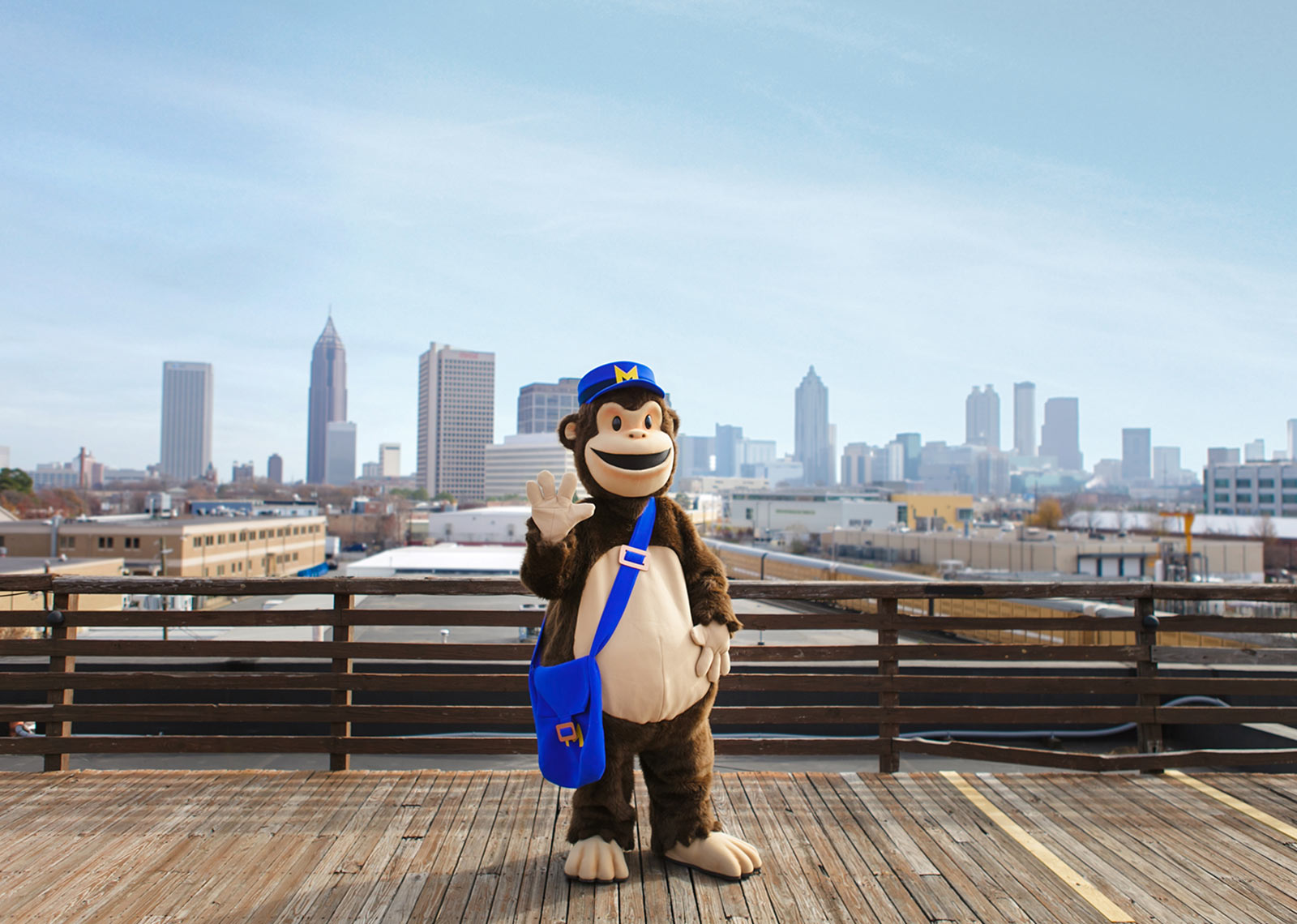 mailchimp custom mascot costume 