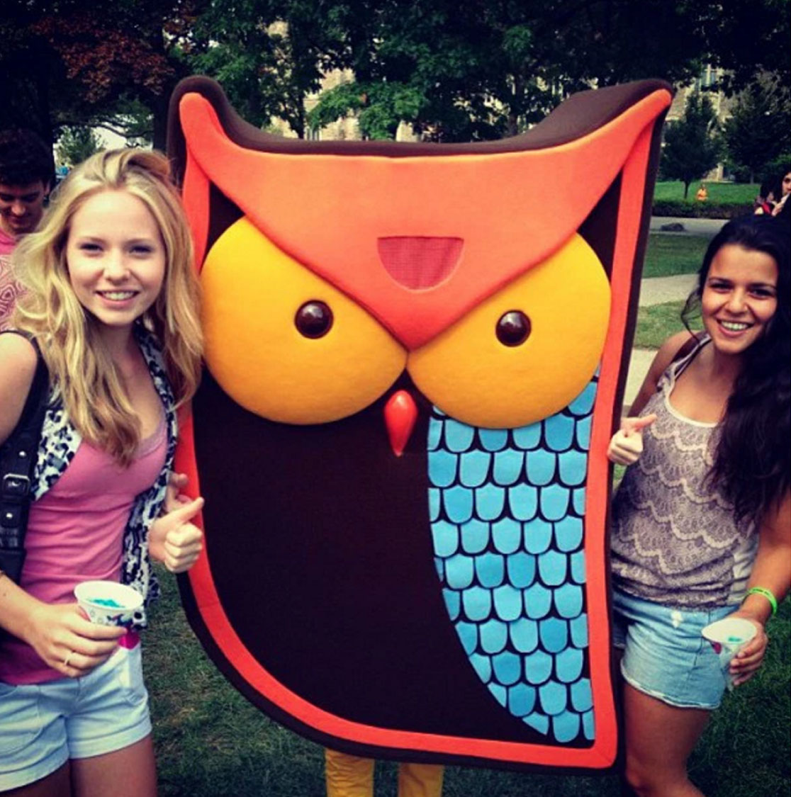 awake owl mascot