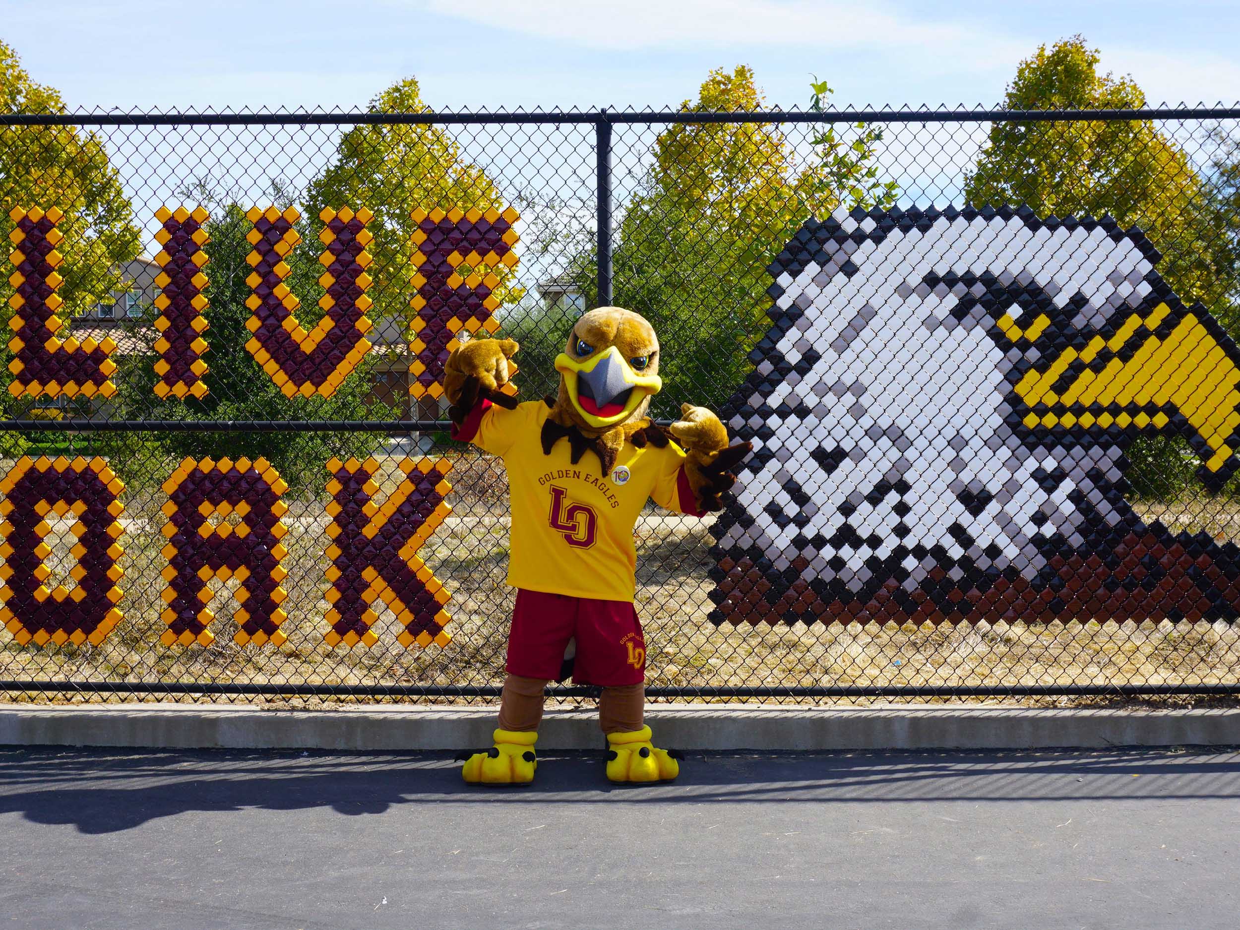 school mascot team sports