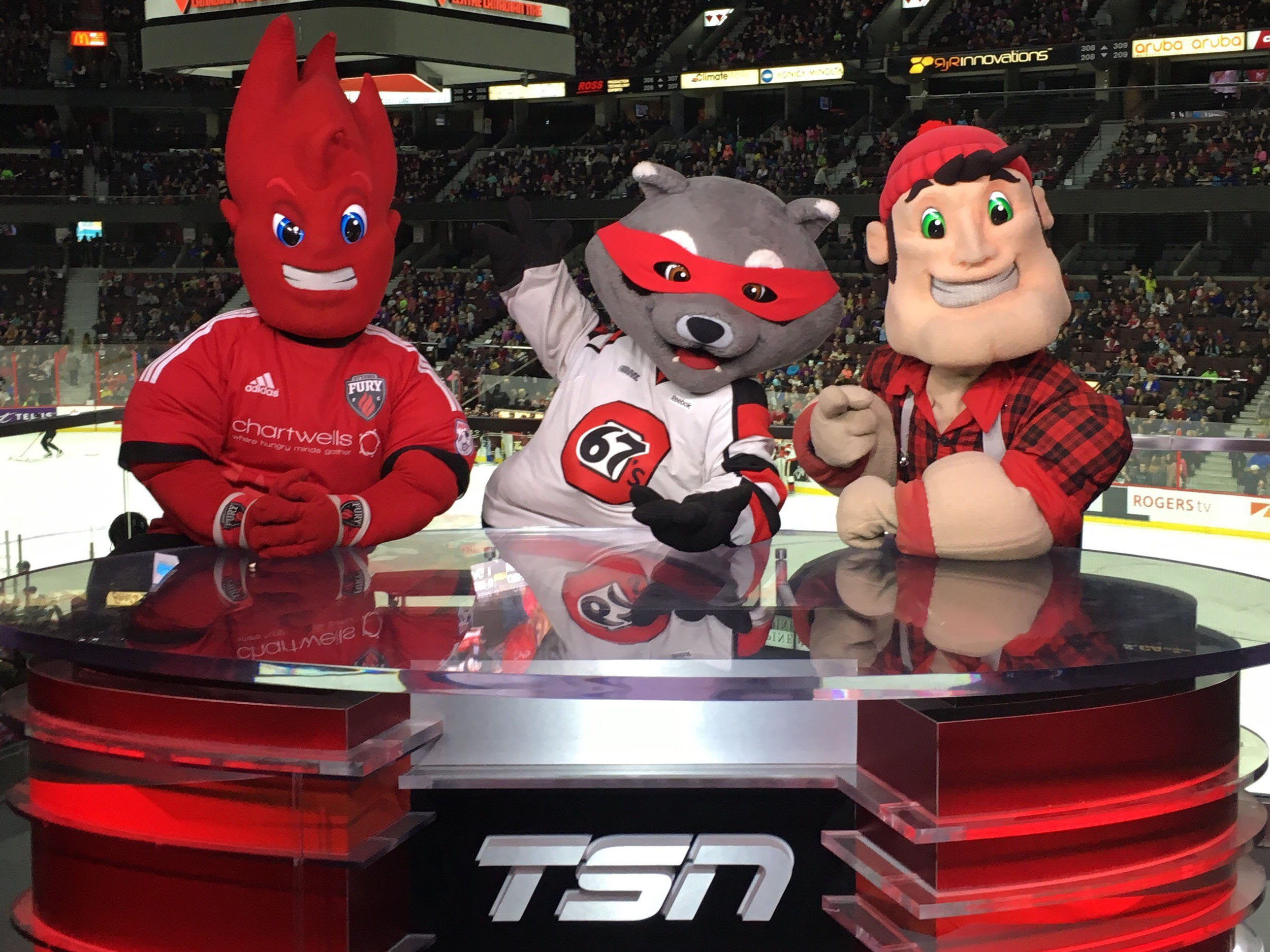 group of mascot costumes at hockey game