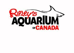 Ripley's+Aquarium-01.jpg