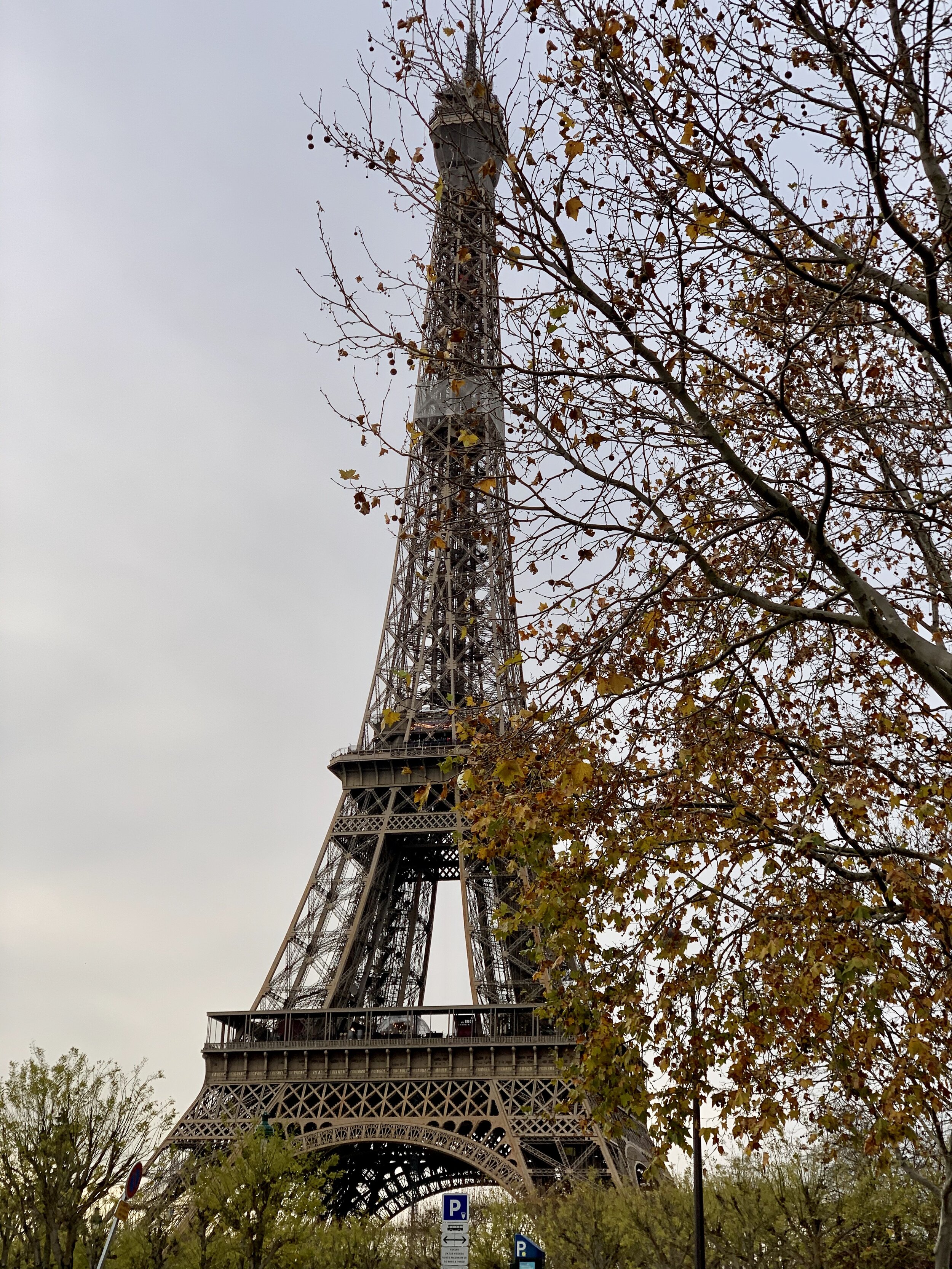 IMG_0922.jpeg