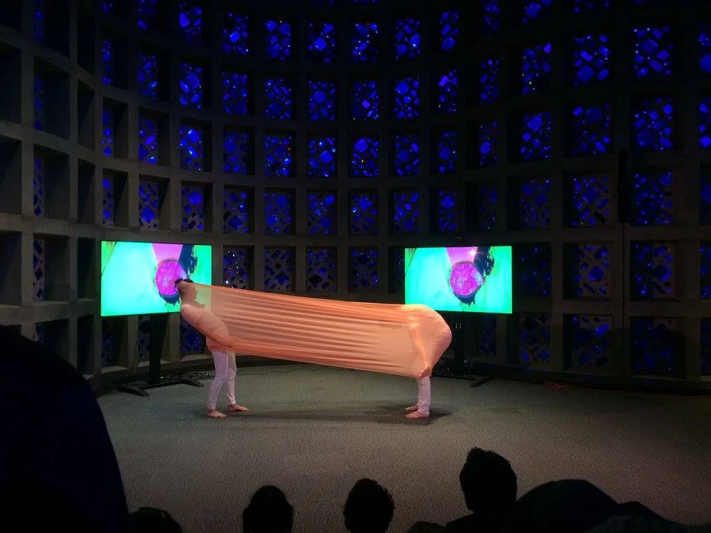 Soft Cell: How Mathematics Makes Cells Move