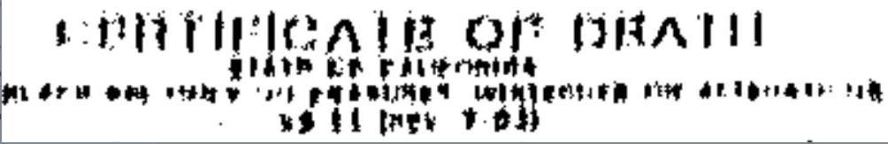 kevinphoto6.png