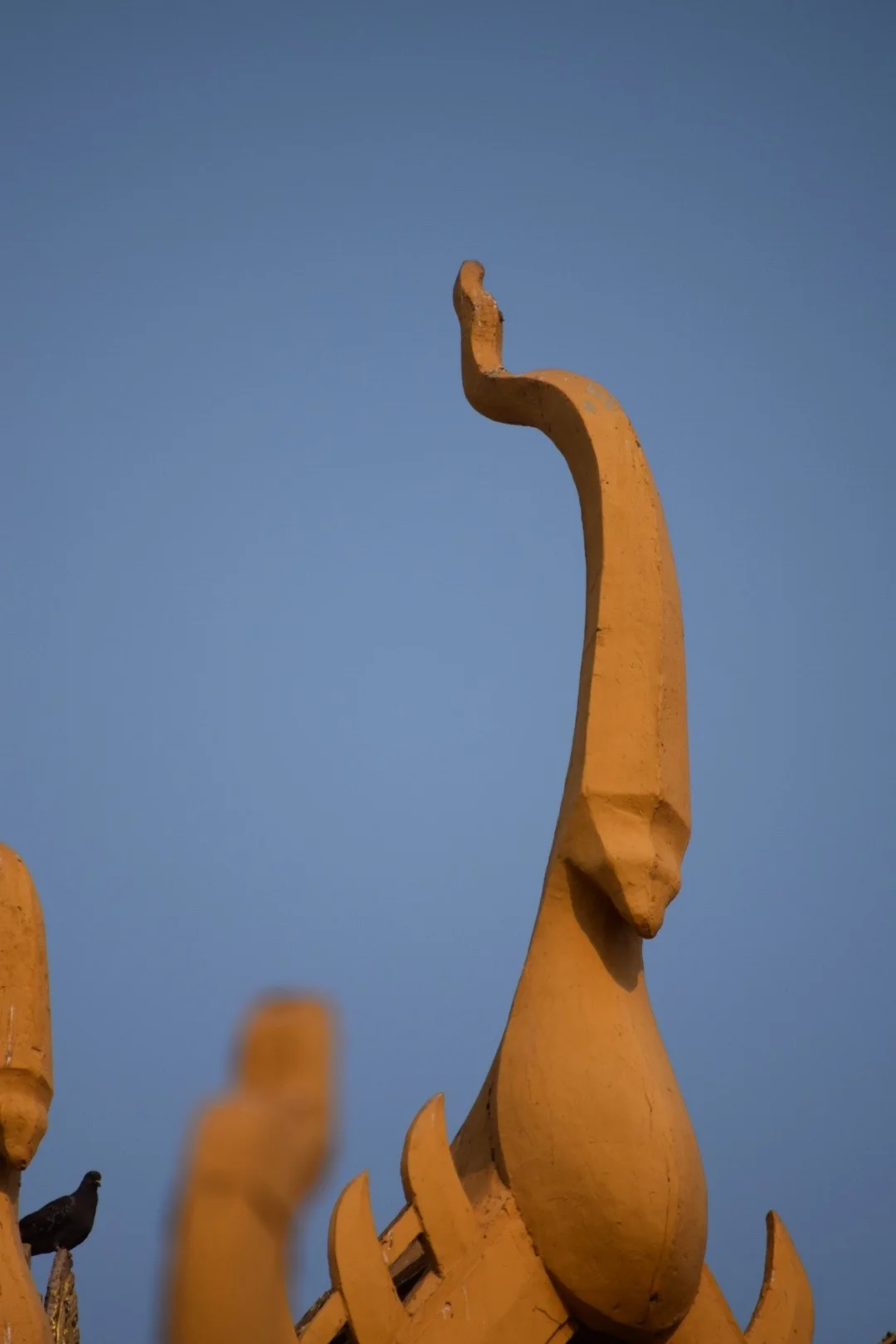 A rooftop naga on the Phochani Pavilion, with a pigeon keeping close watch.
