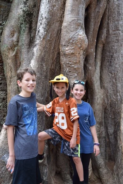 Are we in a temple? Or a jungle forest? At Ta Prohm, the answer is simply, "yes."