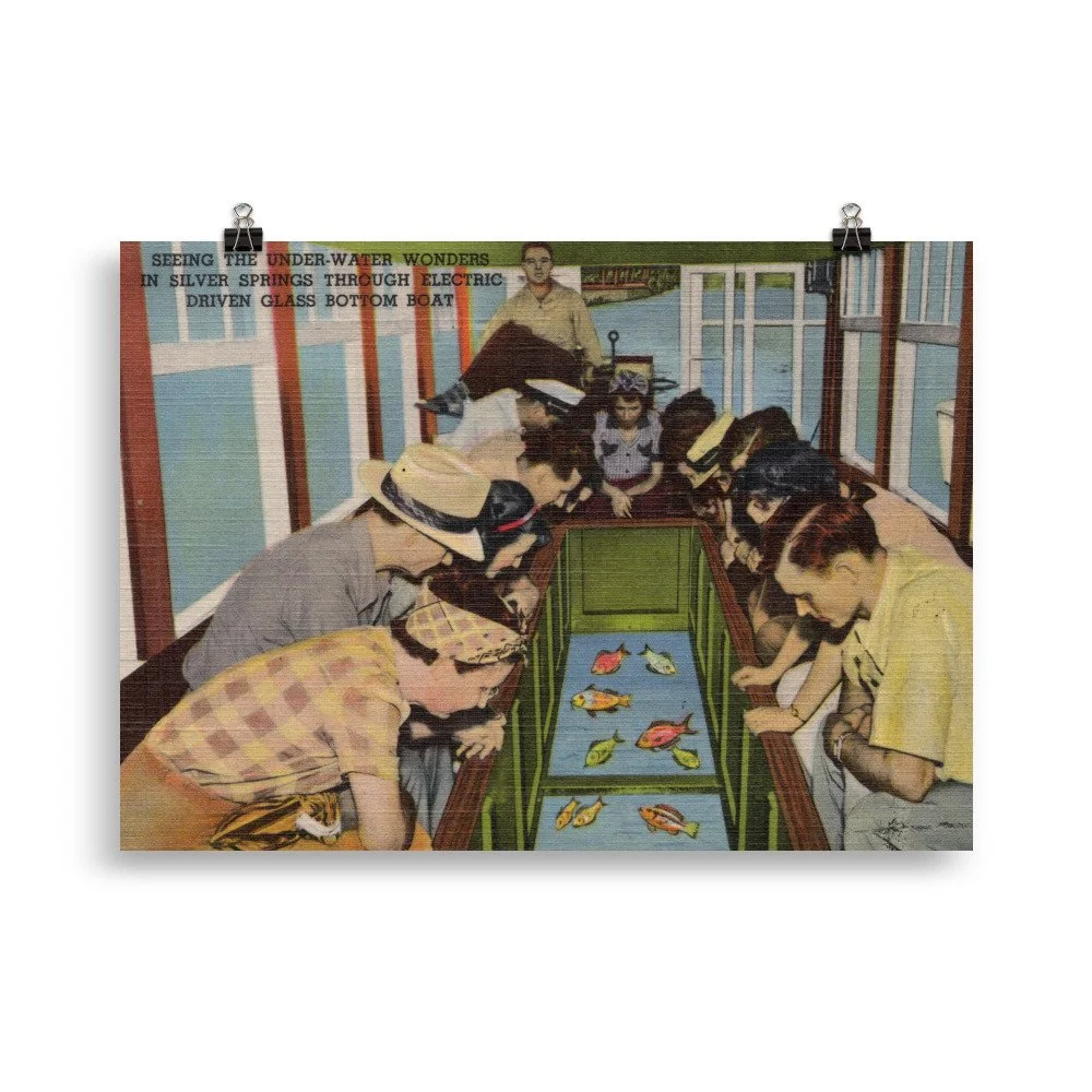 enhanced-matte-paper-poster-(cm)-50x70-cm-transparent-624a33b808861.jpg