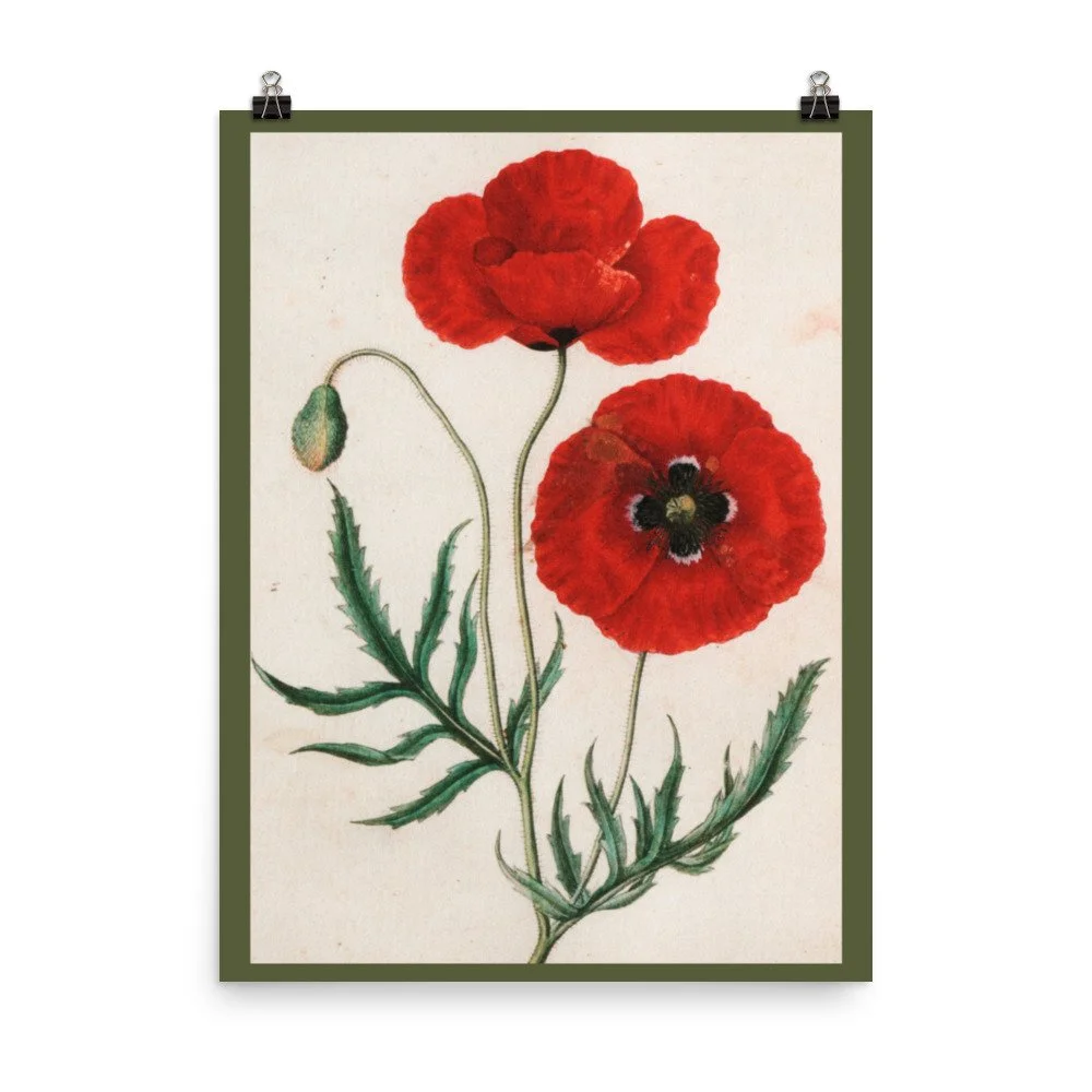 premium-luster-photo-paper-poster-(in)-18x24-transparent-63d4550cc24b0.jpg