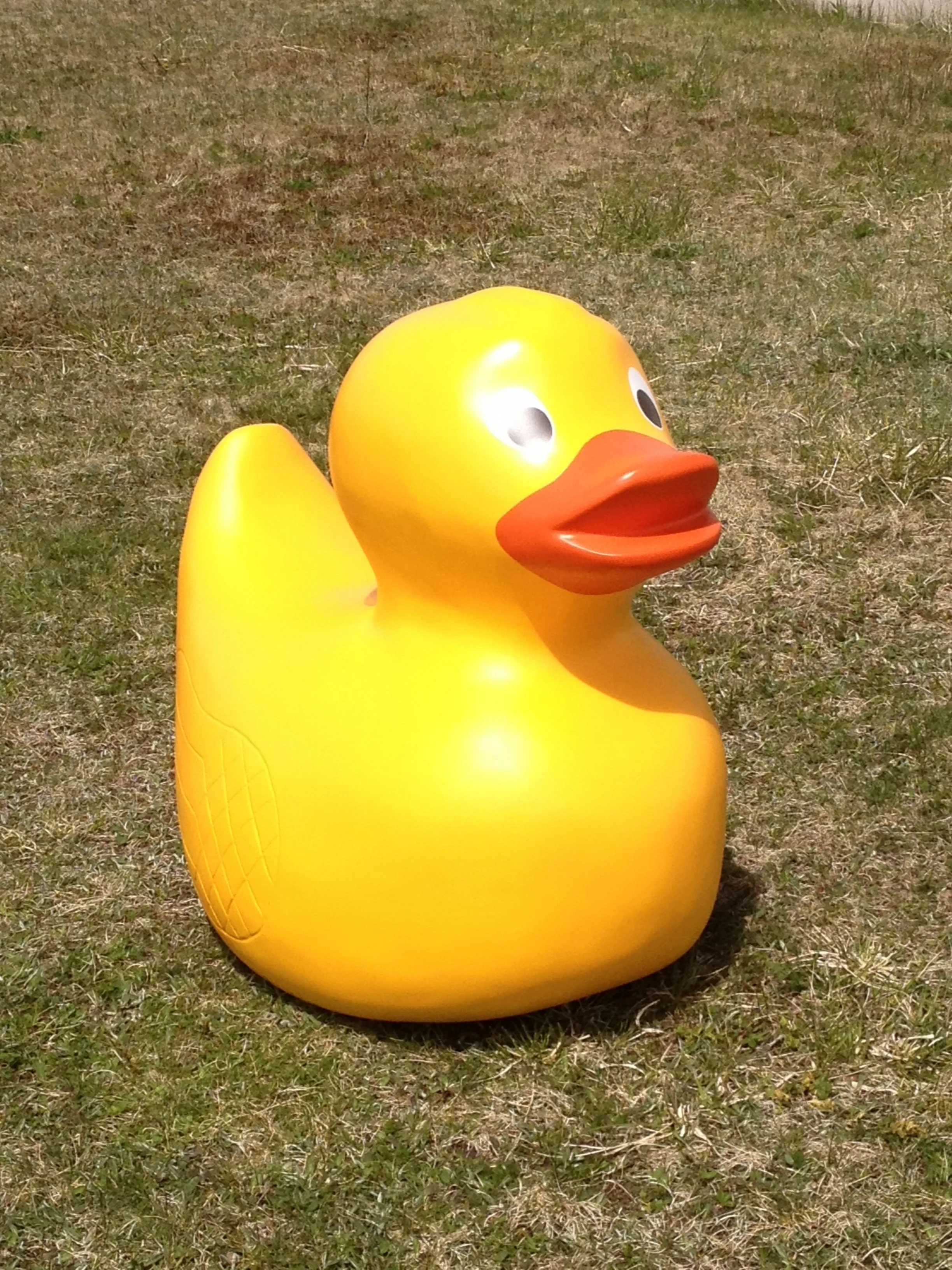 Rubber Duck.JPG