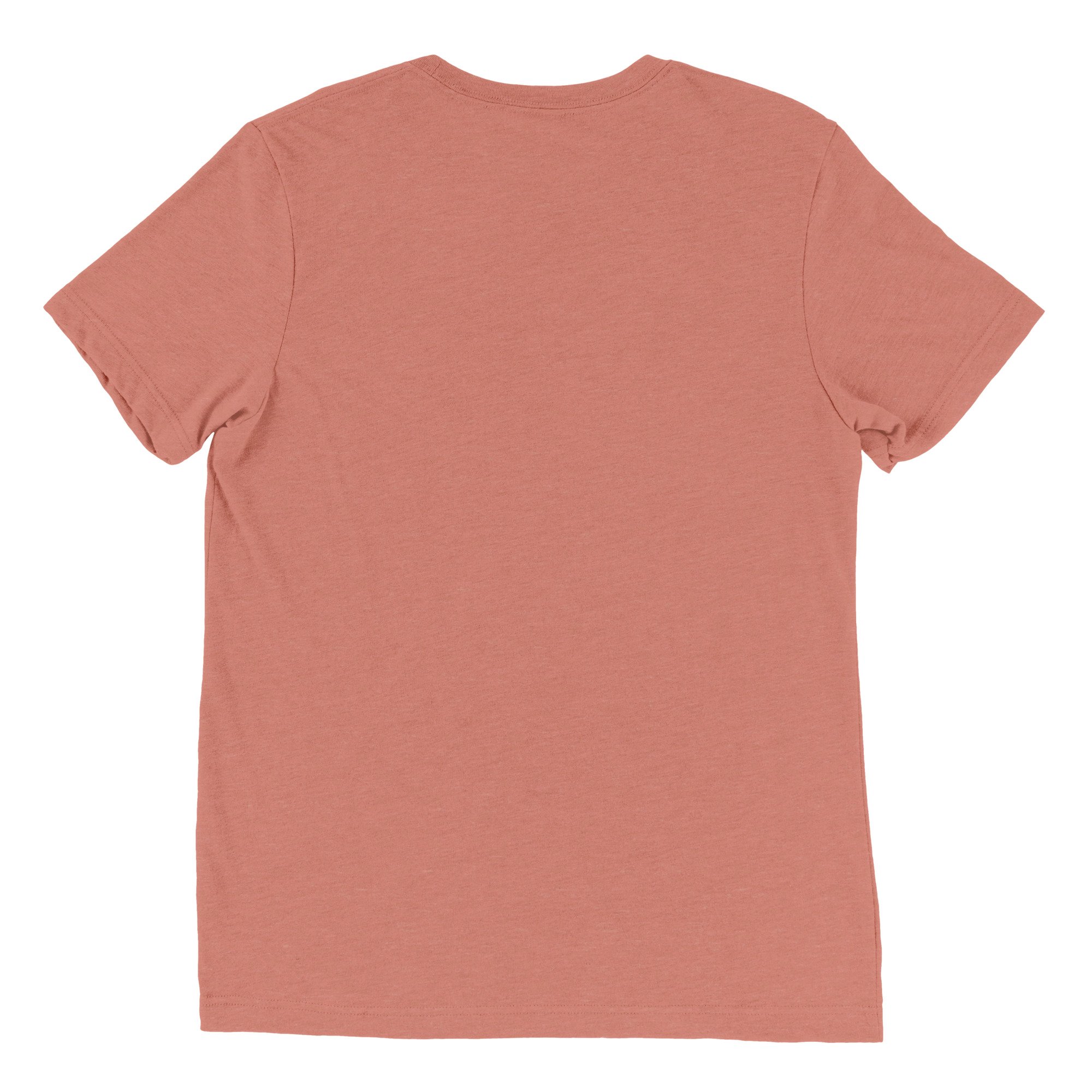 unisex-tri-blend-t-shirt-mauve-triblend-back-69447ac692ec6.jpg