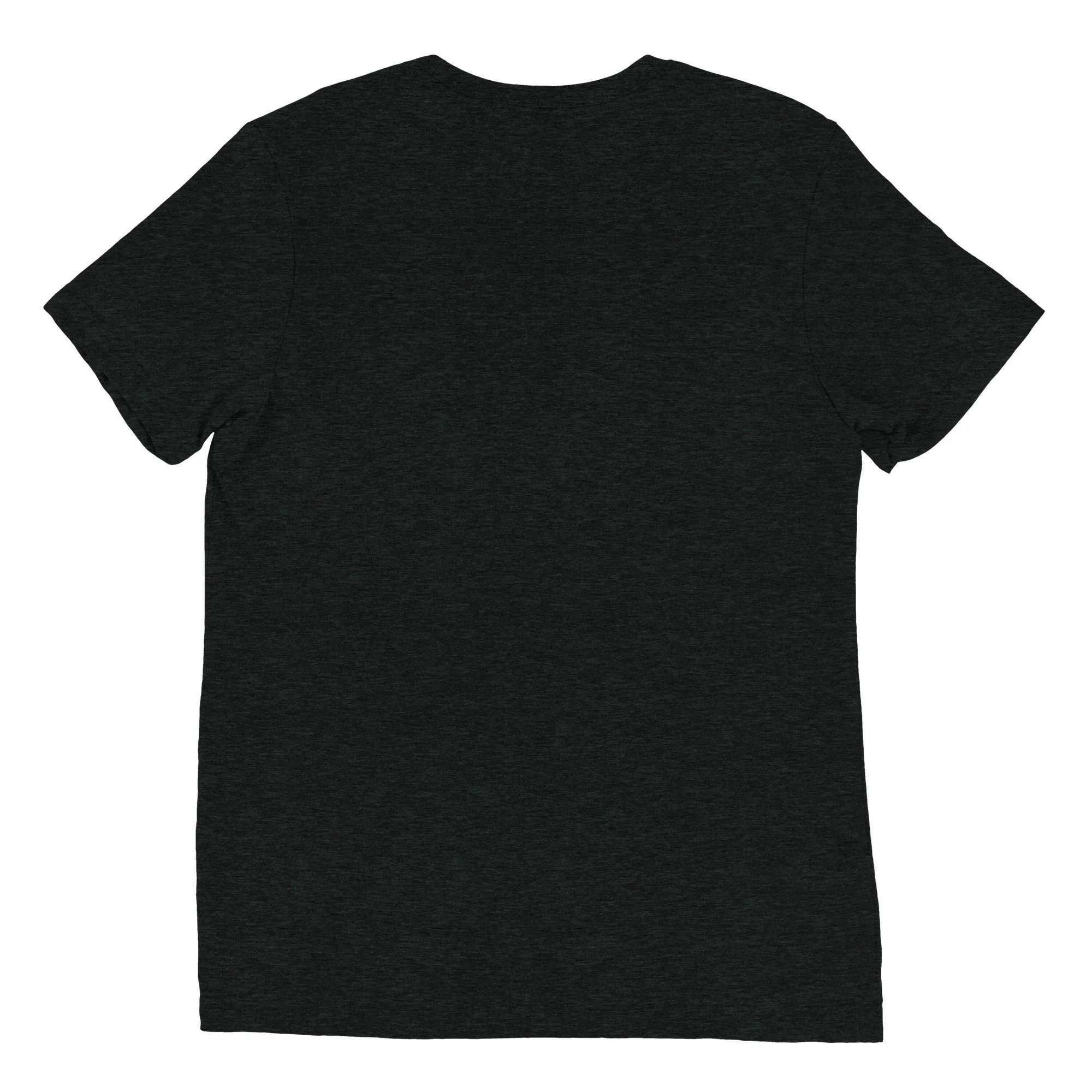 unisex-tri-blend-t-shirt-charcoal-black-triblend-back-69447b1be69ee.jpg