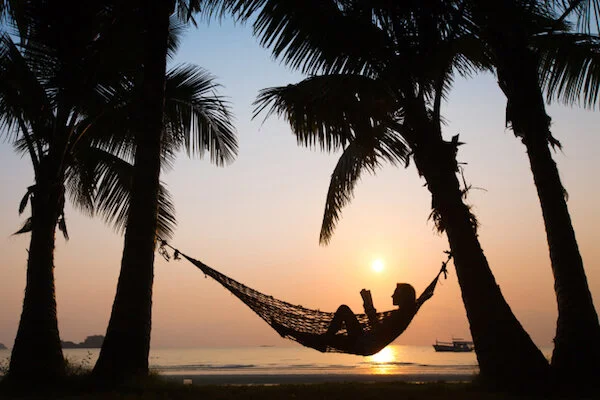 TED’s Giant Summer Reading List