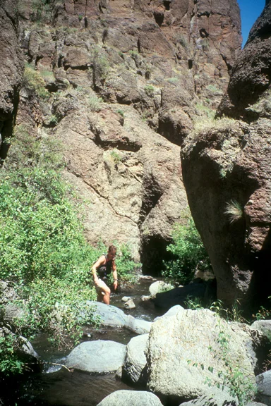 Squaw Creek (Owyhee Mountains)