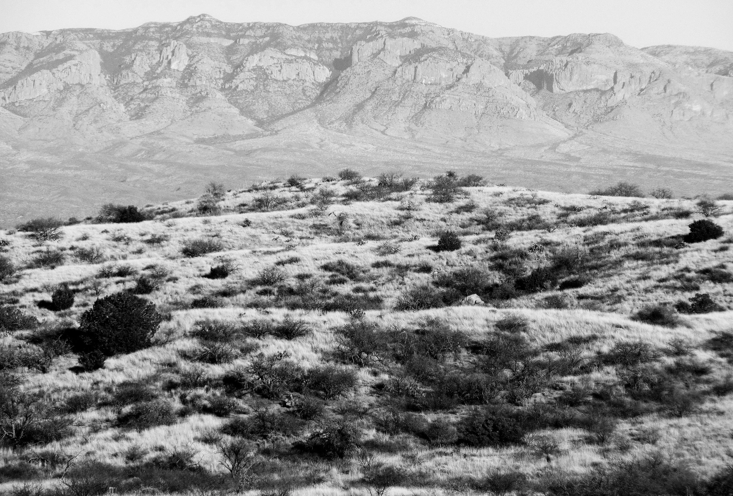 Galiuro Mountains in the distance