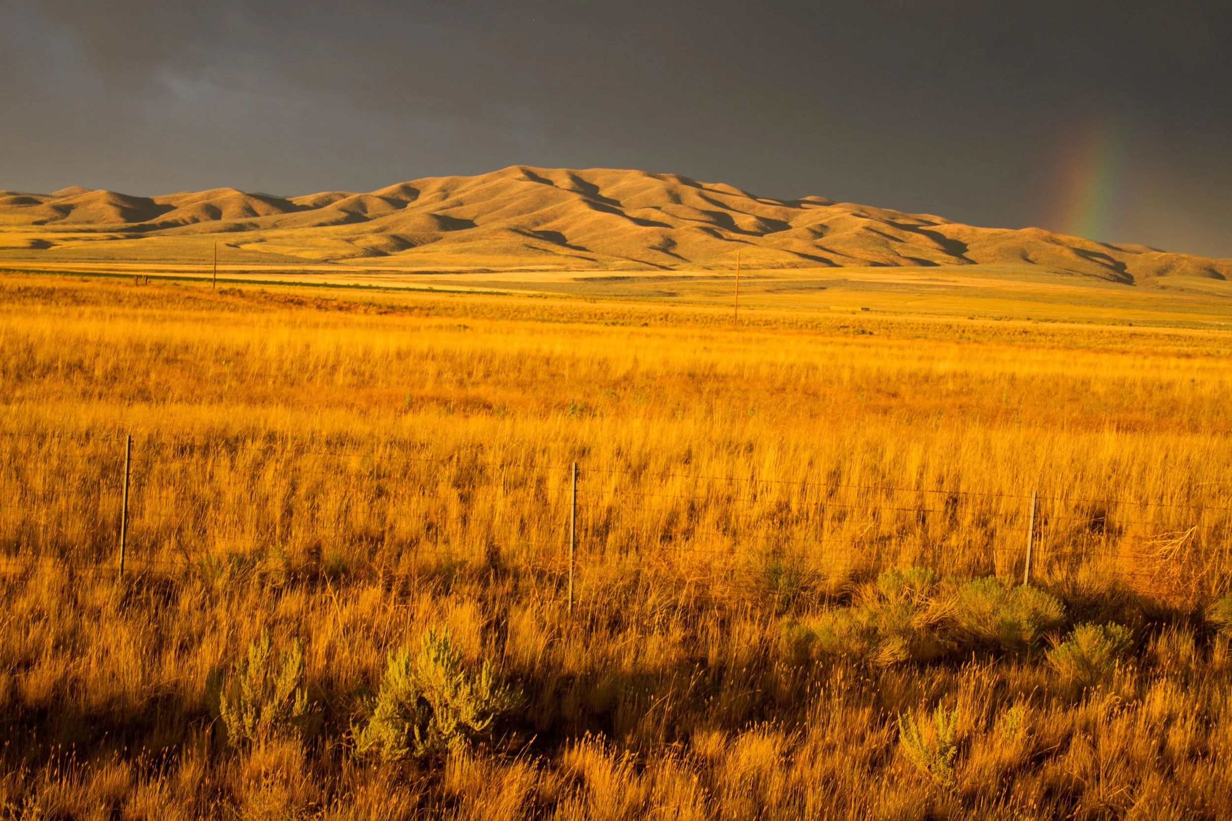 Idaho