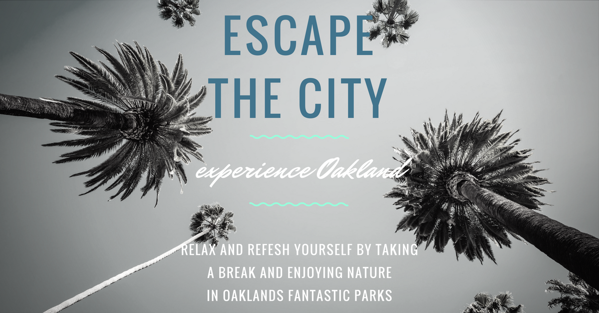 experience Okland (2).png