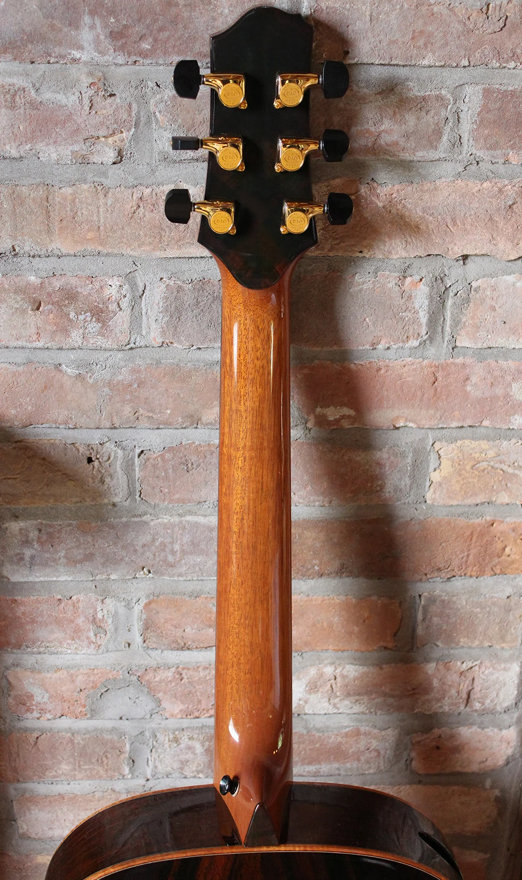 Bsck-whole-Neck-small.jpg