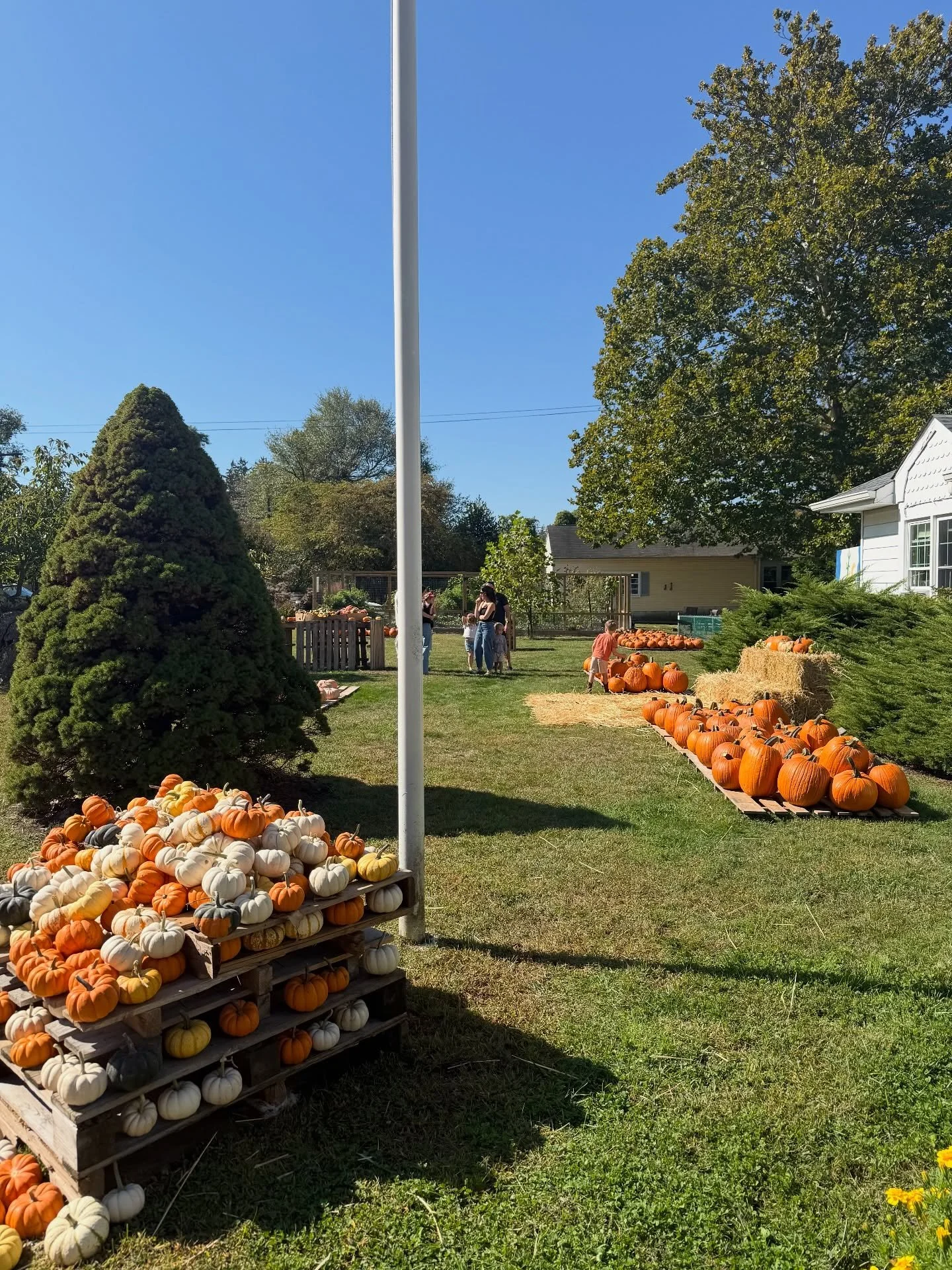 After a few days of rain, we have been back in business! And we never could have made this year&rsquo;s patch work without the help of @ryserslandscapesupply! A Special Thanks to Marty Ryser of Rysers Landscape Supply who donated and delivered all th